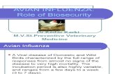 Avian Influenza Role of Bio Security