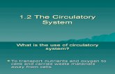 1.2 the Circulatory System- Introduction