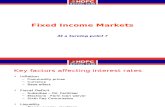 Fixed Income Markets - November 2008