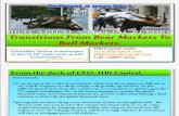 HBJ Capital's Newsletter  (Indian Stock Market)  - Transitions From Bear Markets to Bull Markets
