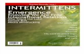 InterMittens Vol 1