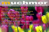 Muchmor Magazine Issue 31