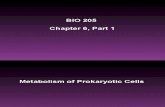 BIO 205 Chapter 6 Part 1 Lecture