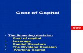 fM-Cost Of Capital