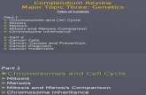 Compendium Review - Genetics 18&19