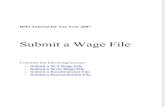 Social Security: 2008WageFile TextOnly