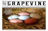 The Grapevine, April 2 – 16, 2015