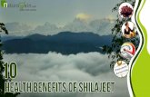 Top 10 Health Benefits of Shilajeet and Where to Find the Best Shilajit Capsules?