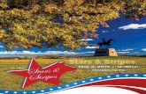 8th Annual Gettysburg Stars and Stripes Sale
