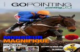 Go Pointing | 08 April 2015