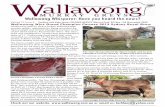 Wallawong Whisperer May15 newsletter