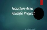 Houston area project