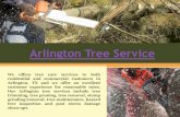 Arlington tree service