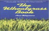 Ann wigmore the wheatgrass book