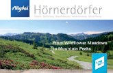Hörnerdörfer - From Wildflower Meadows To Mountain Peaks