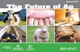 Future Farmers of America Tab 2015