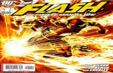 DC : The Flash *The Fastest Man Alive - 01 of 13