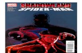 Marvel :  Shadowland - Spider-Man - 1 of 1 - Full Arc 25 of 31