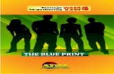 Project TING- The Blue Print