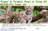 Tiger & Tribal Fest And Save Our Tigers