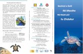 Leaflet in Albanian: Sea Turtles in the Mediterranean