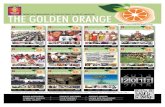 July 2015 - The Golden Orange