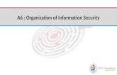 A 6 organization of information security