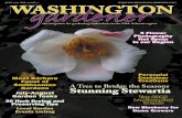 Washington Gardener Magazine July 2015