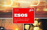 ESOS - The Guide