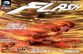 The flash (Os Novos 52) #08