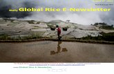 7th august (friday),2015 daily global rice e newsletter by riceplus magazine