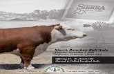 Sierra Ranches Bull Sale — Sept. 3, 2015