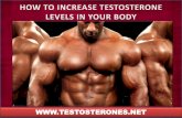 How to increase testosterone levels in your body