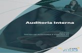 Auditoria Interna - aula 03