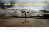 7th september,2015 daily global regional local rice e newsletter by riceplus magazine