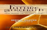 Seeing Heaven (Revelation 4)