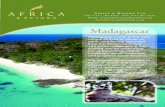 Africa & Beyond - Madagasar Crib Sheet