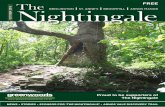Nightingale October Online Edition