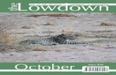 The Lowdown - 2015-10 October