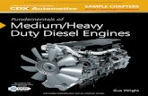 CDX Automotive Sample Chapters: Section 2