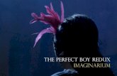 The Perfect Boy Redux | Imaginarium