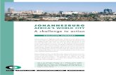 Johannesburg, Africa’s world city: A challenge to action (executive summary)