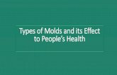 Types of Molds and Its Effect to Peoples Health