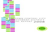 CCID 2008 Annual Report