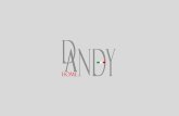 Dandy catalogo 2014