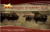 Majestic Cattle Co 2015