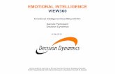 Emotional IntelligenceView360 Exempelrapprt