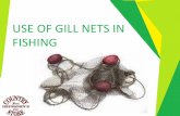 Use of Gill Nets in Fishing - Texastastes