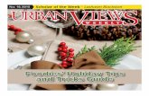 Urban Views Weekly November 18, 2015