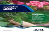 Levington Advance Bloom
